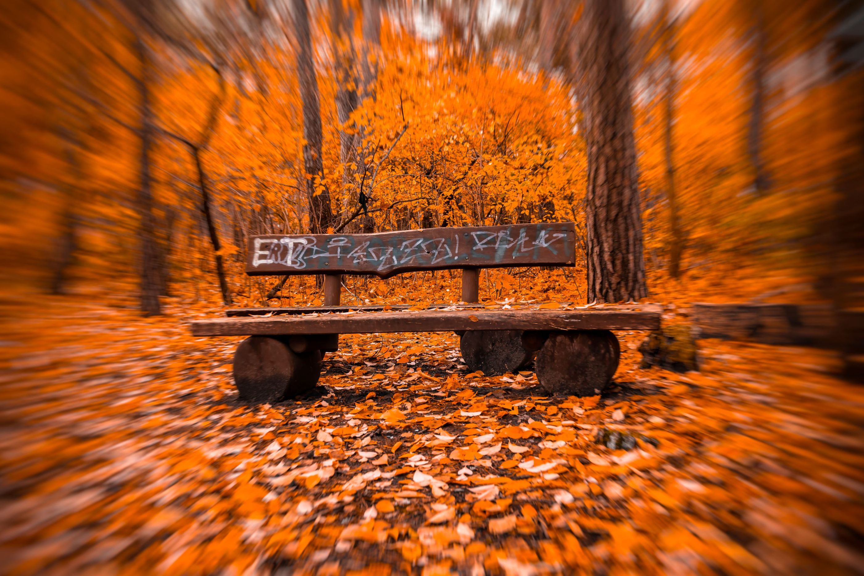 Krzysztof Jaworski-7